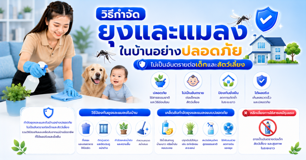 วิธีกำจัดยุงและแมลงในบ้านอย่างปลอดภัย ไม่เป็นอันตรายต่อเด็กและสัตว์เลี้ยง
